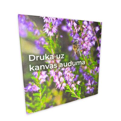 Kanva, druka uz kanvas auduma